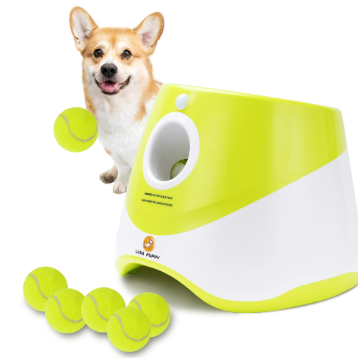 Personalized dog book for dog owners from Hooray Heroes.