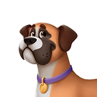 Boxer in a Hooray Heroes personalized dog book
