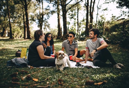 Buffalo Bayou park is a nice place in Houston to take your dog out according to Hooray Heroes.