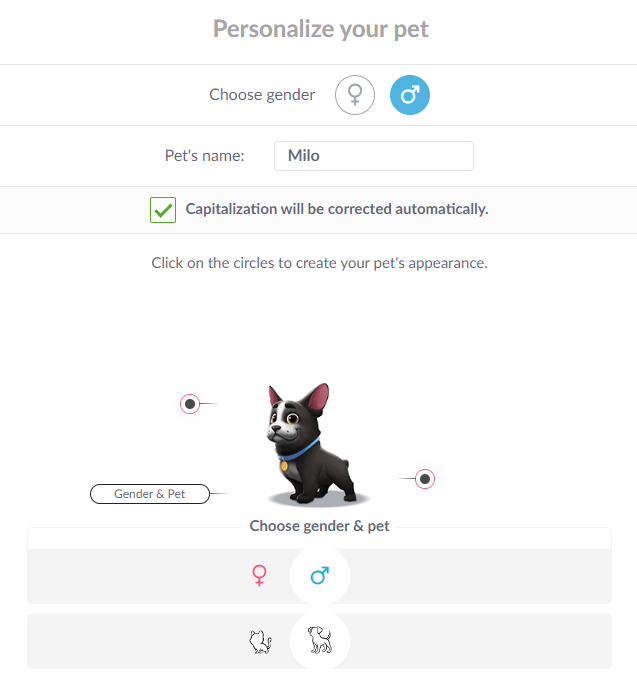 best personalization options for pets 