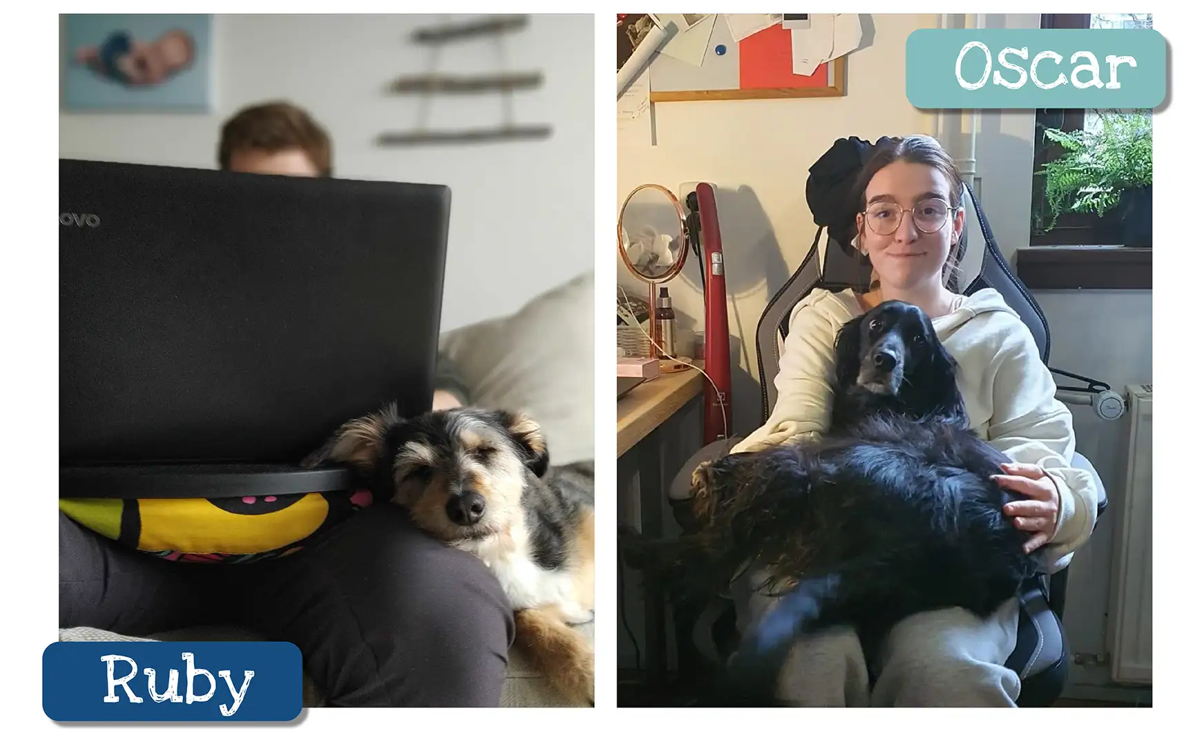 A personalized pet book just for your dog and about your incredible relationship.