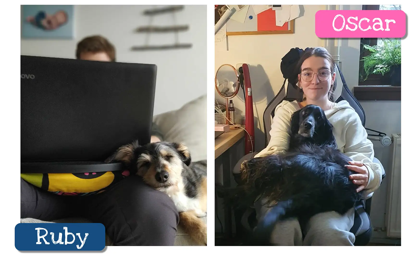 A personalized pet book just for your dog and about your incredible relationship.